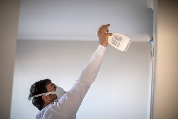Best Mold Testing  in Madison, NJ