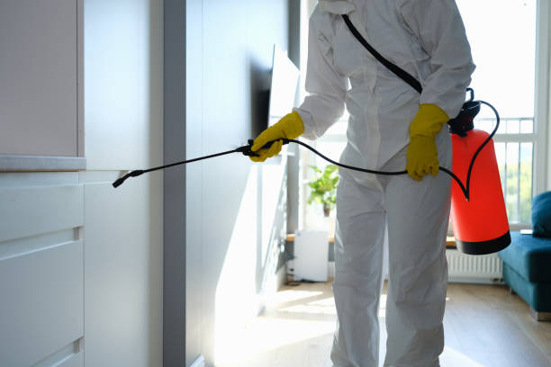 Best Home Mold Removal  in Madison, NJ